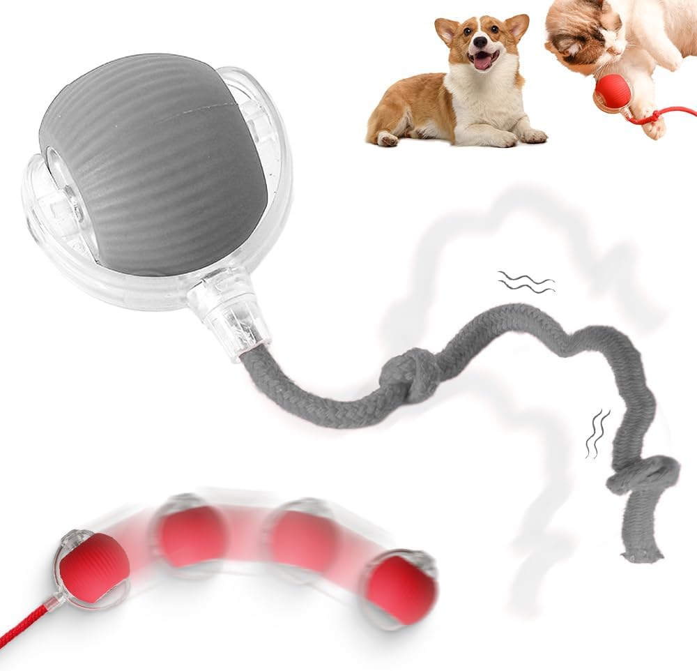 Interactive Rolling Dog Ball 2024 Upgraded Rolling Ball Dog Toy Interactive Cat Toys Automatic Cat Toy Self Moving Dog Toys 360° Automatic Rolling Ball Toy Electric Dog Balls for Dog/Cat interactive rolling ball for dogs