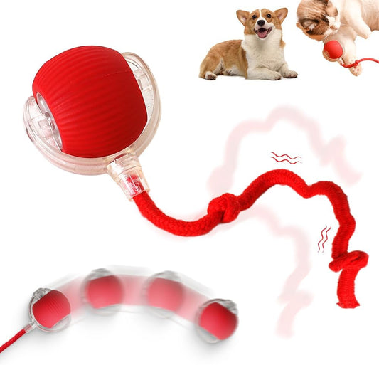 Interactive Rolling Dog Ball 2024 Upgraded Rolling Ball Dog Toy Interactive Cat Toys Automatic Cat Toy Self Moving Dog Toys 360° Automatic Rolling Ball Toy Electric Dog Balls for Dog/Cat interactive rolling ball for dogs